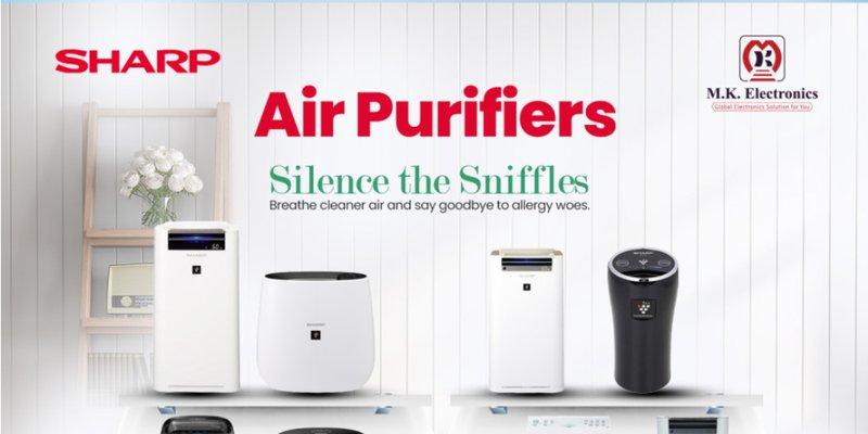 Best Air Purifiers in the Market